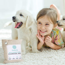 Load image into Gallery viewer, Air Purifying Bamboo Charcoal Bags | 12-Pack Kit | Odor Eliminator, Eco-Friendly